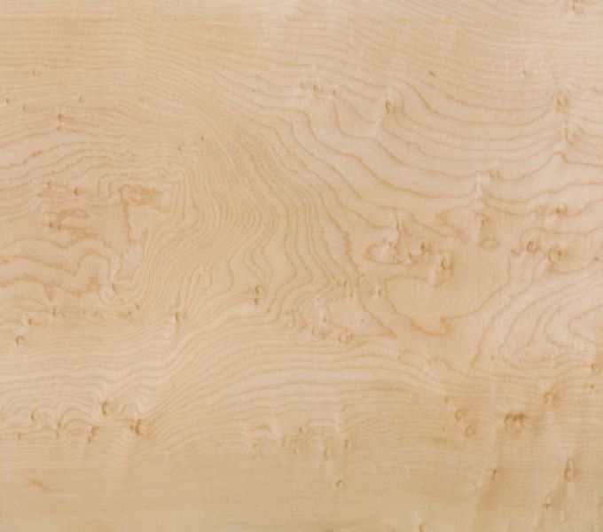 Sugar/Eastern Maple - Image 3