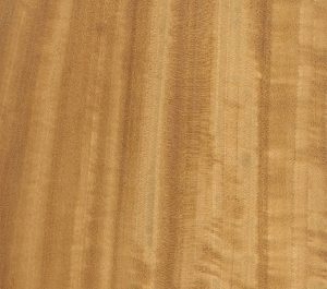 Satinwood (EXOTIC)